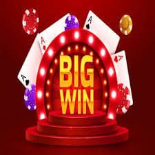 555win